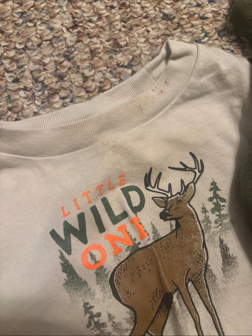 Carhartt Olive Green Zip Hoodie with Camo Joggers and Tan Deer Tee